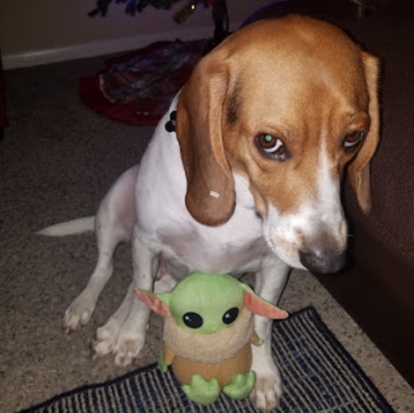 Meet your Posher, Ash 💜 - Picture 8 of 9